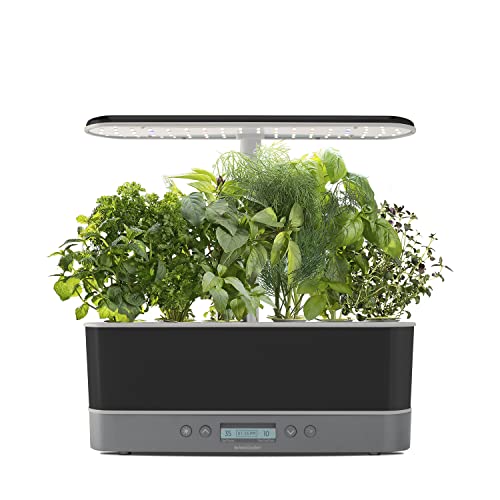 AeroGarden Harvest Elite Slim with Gourmet Herb Seed Pod Kit - Hydroponic Indoor Garden, Platinum Stainless