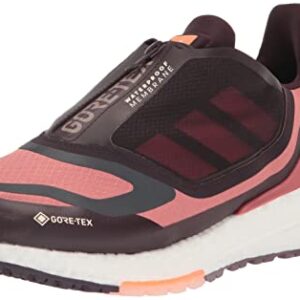 adidas Women's Ultraboost 22 GTX Running Shoe, Wonder Red/Beam Orange/Shadow Maroon, 9