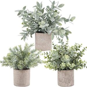 Der Rose 3 Pack Mini Potted Fake Plants Artificial Plastic Eucalyptus Plants for Home Office Desk Farmhouse Room Decor