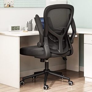 Hbada Ergonomic Office Chair Work Desk Chair Computer Breathable Mesh Chair with Adjustable Lumbar Support and Flip-up Arms, Black