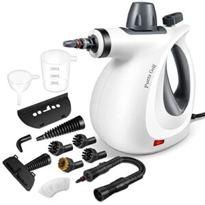 Pressurized Handheld Multi-Surface Natural Steam Cleaner with 12 pcs Accessories, Multi-Purpose Steamer for Home Use, Steamer for Cleaning Floor, Upholstery, Grout and Car