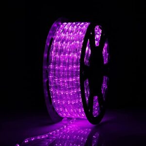 Buyagn 100Ft Rope Lights Outdoor, 110v Christmas Lights Outdoor Waterproof Decorative Lighting for Indoor/Outdoor, Deck, Patio, Backyards Garden, Christmas Decorations(Purple)