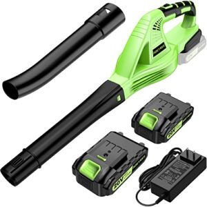 Cordless Leaf Blower - Lightweight Electric Blower with 2 Batteries & Charger - 20V Battery Powered Small Handheld Blower for Lawn Care
