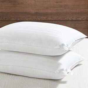downluxe Down Alternative Queen Size Pillows (2 Pack) - 100% Breathable Cotton Cover, Premium Hotel Collection Soft Bed Pillows for Sleeping, 20 X 28