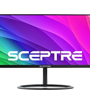 Sceptre 29-inch IPS UltraWide Monitor 2560 x 1080 75Hz HDMI DisplayPort 119% sRGB up to 300 Lux Build-in Speakers, Machine Black (E300W-FUS)