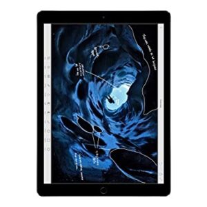 Apple iPad Pro 12.9in Tablet (256GB Wi-FI, Space Gray)(Renewed)