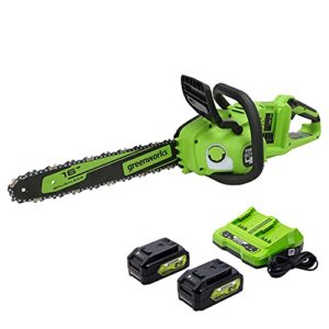 Greenworks 2 x 24V (48V) 16" Brushless Cordless Chainsaw (Great For Tree Felling, Limbing, Pruning, and Firewood / 125+ Compatible Tools), (2) 4.0Ah Batteries and Dual Port Rapid Charger Included