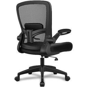 FelixKing Ergonomic Office Chair with Adjustable High Back, Breathable Mesh, Lumbar Support, Flip-up Armrests, Executive Rolling Swivel Comfy Task Computer Chair for Home Office (Black).