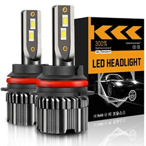 LRTER 9007/HB5 Powersports LED Bulbs for ATV, Super Bright Hi/Lo Dual Beam Powersports LED Bulbs, Quick Installation Halogen Replacement, Pack of 2