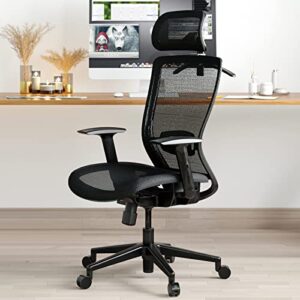 FLEXISPOT Ergonomic Office Chair High Back Mesh Swivel Computer Chair Home Office Desk Chairs with Wheels Lumbar Support Deep Black