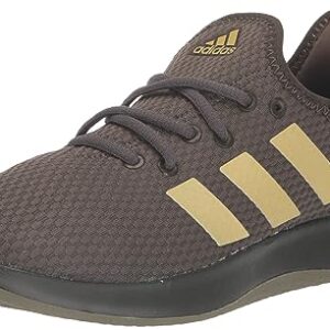 adidas Womens Cloudfoam Pure Shadow Olive/Olive Strata/Gold Metallic 9