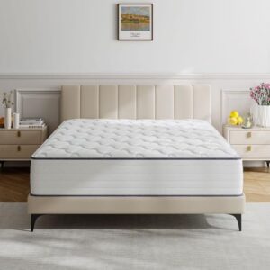 TXO Full Size Mattress, 10 Inch Medium Firm Hybrid Mattress with Antistatic Breathable Euro Top Cover, Motion Isolation, Pressure Relief, Full Mattress in a Box