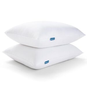 Bedsure Pillows Queen Size Set of 2 - Hotel Quality Queen Size Bed Pillows 2 Pack for Sleeping, Soft and Supportive Filling for Side, Back Sleepers