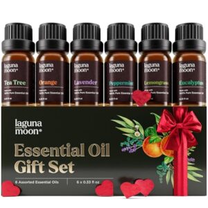 Essential Oils Set - Top 6 Blends for Diffusers, Home Care, Candle Making Scents, Fragrance, Aromatherapy, Humidifiers, Gifts - Peppermint, Tea Tree, Lavender, Eucalyptus, Lemongrass, Orange (10mL)